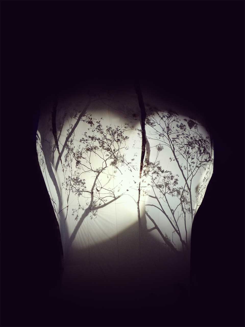 Fleur d'Arbre